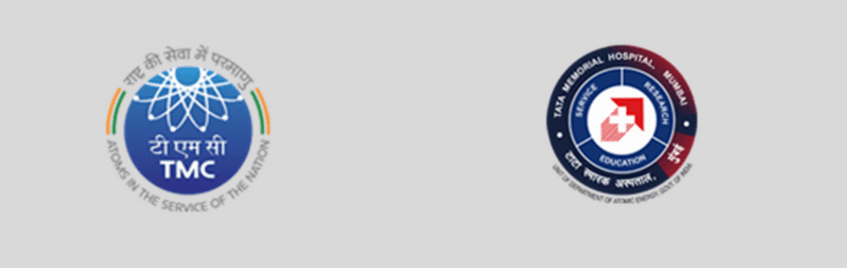 placement-plan-activity