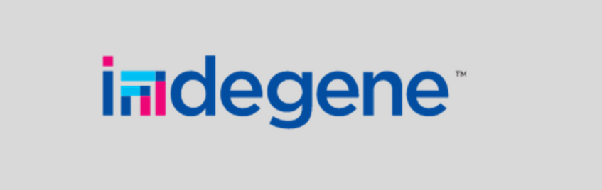 placement-plan-activity