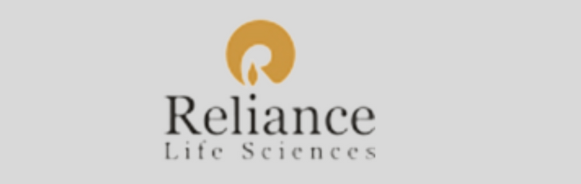 placement-plan-activity