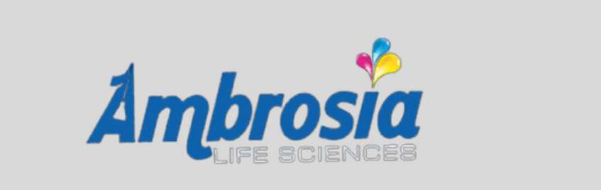 placement-plan-activity