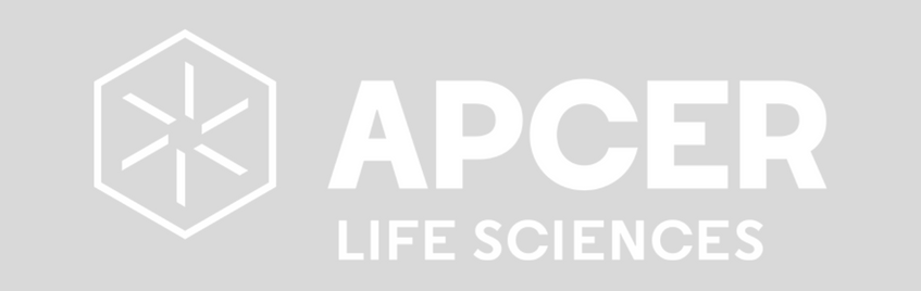 placement-plan-activity