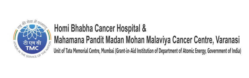 placement-plan-activity