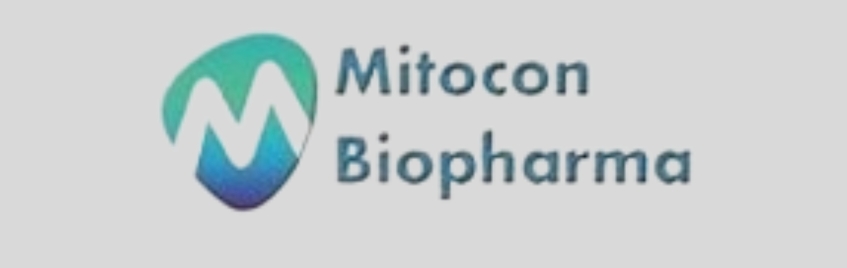 placement-plan-activity